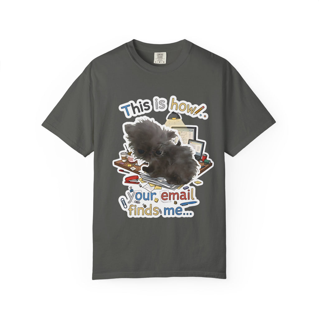 Pepper grey vintage wash t-shirt featuring the viral "This is how your email finds me" meme art.